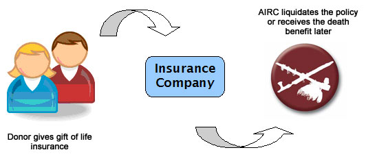 AIRC Insurance Process