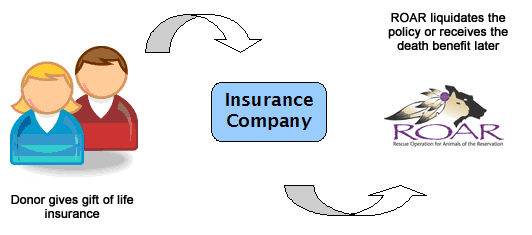 ROAR Insurance Process